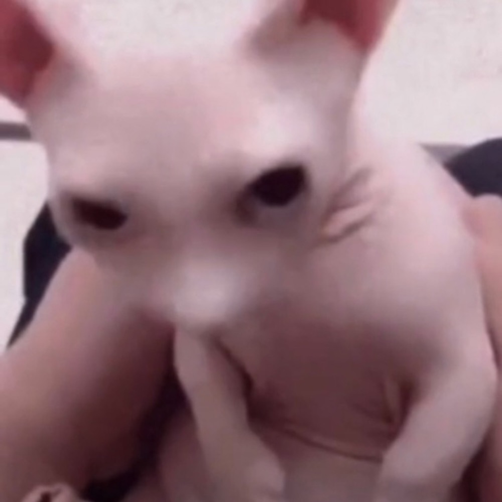 Meet your Posher, Kristen